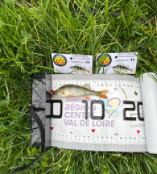 photo prise 51818 par The fisher16