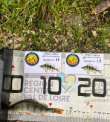 photo prise 51825 par 