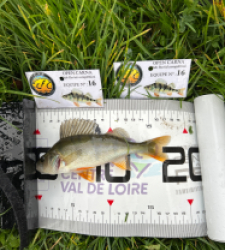 photo prise 51826 par The fisher16