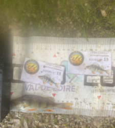 photo prise 51830 par 