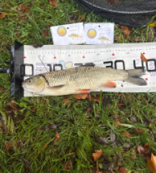 photo prise 51832 par 