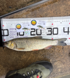 photo prise 51834 par 