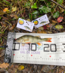 photo prise 51835 par bverger17