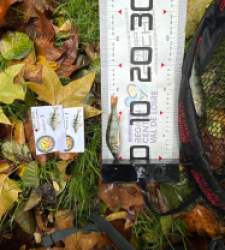 photo prise 51837 par Le C