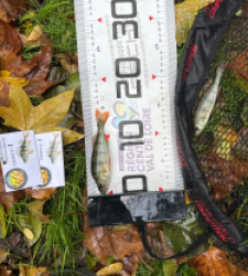 photo prise 51838 par Le C