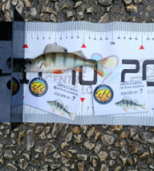 photo prise 51839 par 