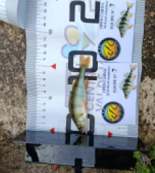 photo prise 51841 par 