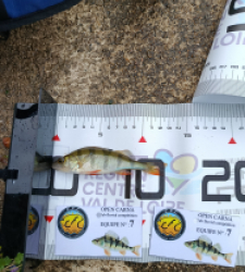 photo prise 51845 par 