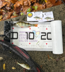 photo prise 51848 par Le C