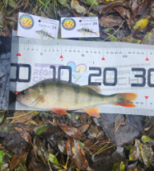 photo prise 51849 par peslinrudy27