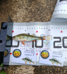 photo prise 51852 par 