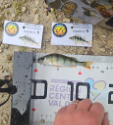 photo prise 51853 par Greg