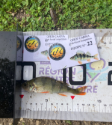 photo prise 51854 par François 