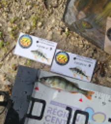 photo prise 51855 par Greg