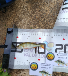 photo prise 51856 par 