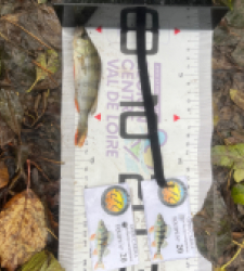 photo prise 51857 par Joris Pougin