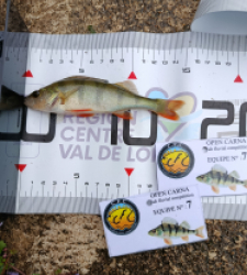 photo prise 51860 par 