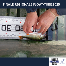 photo prise 51861 par Julien41