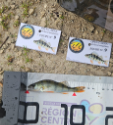 photo prise 51862 par Greg