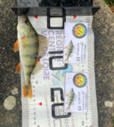 photo prise 51863 par 