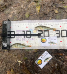 photo prise 51869 par Joris Pougin