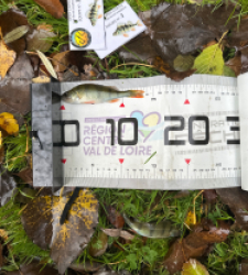 photo prise 51870 par Le C