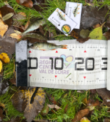 photo prise 51871 par Le C