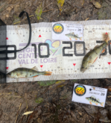 photo prise 51873 par Joris Pougin