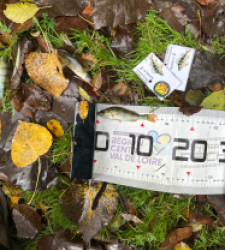 photo prise 51874 par Le C