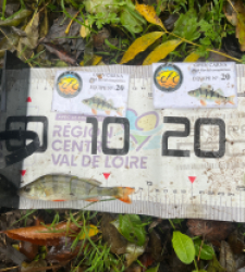 photo prise 51876 par Joris Pougin