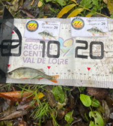 photo prise 51877 par Joris Pougin