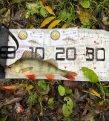 photo prise 51882 par Guillaume vidal