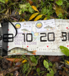 photo prise 51883 par Guillaume vidal