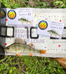 photo prise 51890 par 