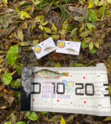 photo prise 51892 par bverger17