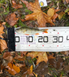 photo prise 51894 par Le C