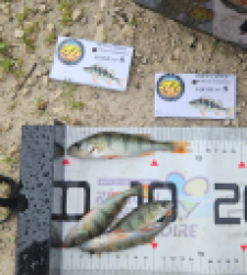 photo prise 51899 par Greg