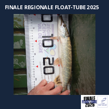 photo prise 51900 par Charles Dejoie