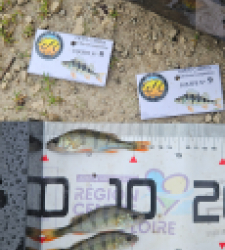 photo prise 51901 par Greg