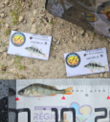 photo prise 51902 par Greg