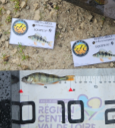 photo prise 51903 par Greg