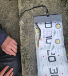 photo prise 51907 par Emmanuel RD