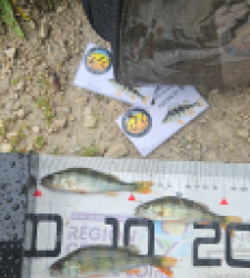 photo prise 51910 par Greg