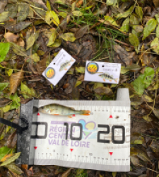 photo prise 51911 par bverger17