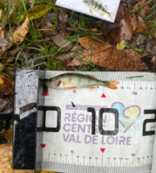 photo prise 51912 par Le C