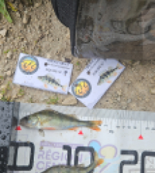 photo prise 51913 par Greg