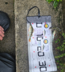 photo prise 51914 par Emmanuel RD