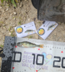 photo prise 51915 par Greg