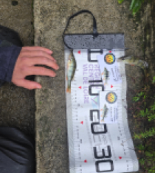 photo prise 51917 par Emmanuel RD