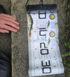 photo prise 51918 par Emmanuel RD